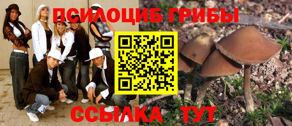 Псилоцибиновые грибы Magic Shrooms  Вход с VPN  Кузнецк  Галлюциногенные грибы прущие грибы 