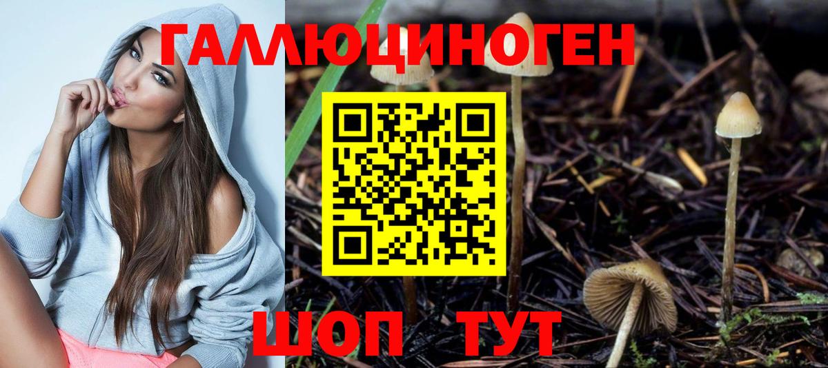 Псилоцибиновые грибы Psilocybine cubensis Кузнецк